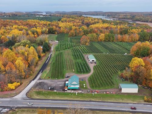 High Production Cidery & Orchard : Huron : Wayne County : New York