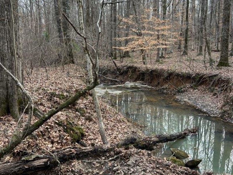 Rolling Acres : Union Point : Greene County : Georgia