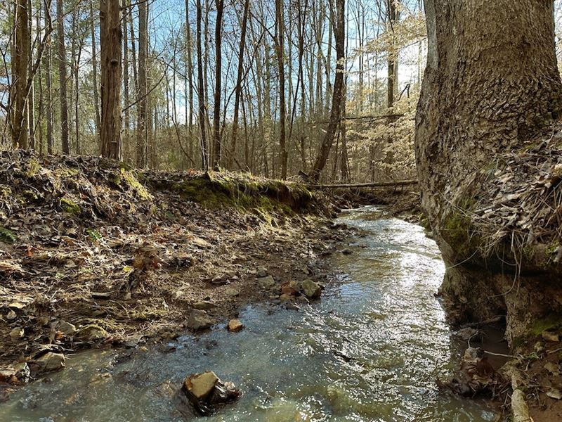 Dry Branch : Hickory Grove : York County : South Carolina