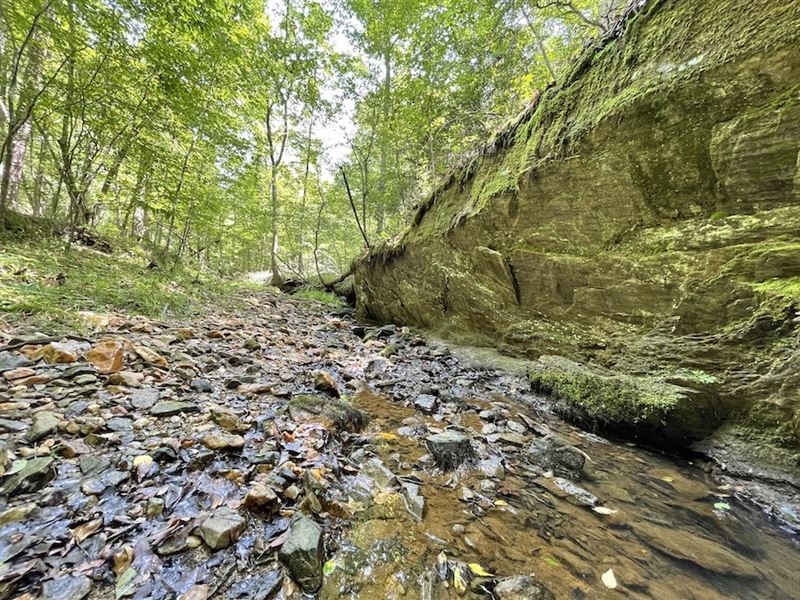 Mountain Branch Tract : Smyrna : York County : South Carolina