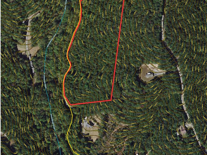 Land with Homesite for Sale : Lowgap : Surry County : North Carolina