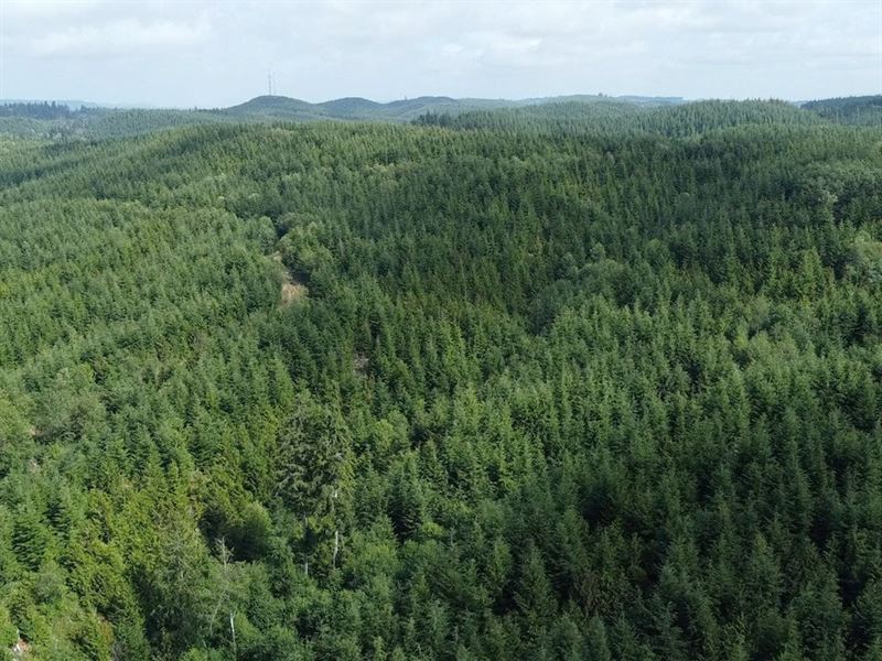 219.03 Acres in Aberdeen, Washington : Aberdeen : Grays Harbor County : Washington