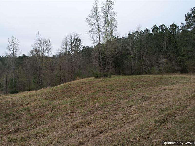 Beautiful Sunrise on 39.5+/- Acres : Chunky : Newton County : Mississippi