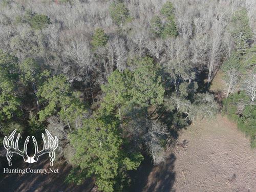 272 Acres M/L, Lafayette County, FL : Cooks Hammock : Lafayette County : Florida