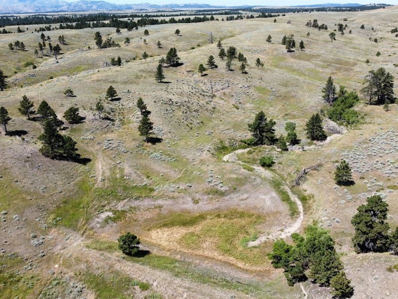 Collard-Blatnick Ranch : Wheatland : Platte County : Wyoming