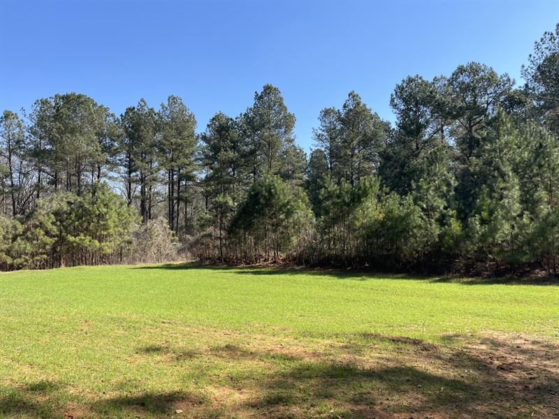 208 Acres, Hall County, GA : Talmo : Hall County : Georgia