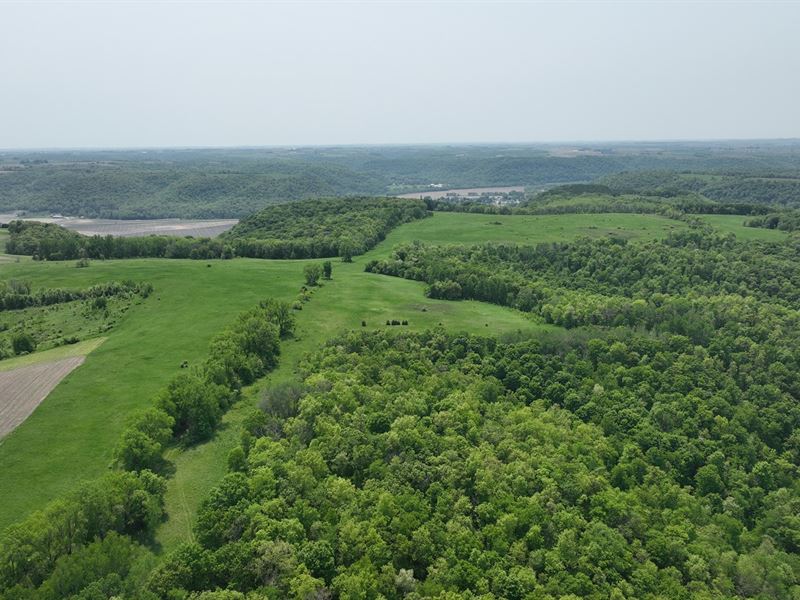 268 Acres in Fillmore County : Peterson : Fillmore County : Minnesota