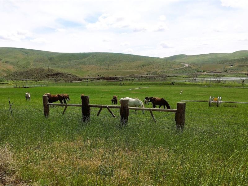 Sleeping Indian Ranch : Weiser : Washington County : Idaho