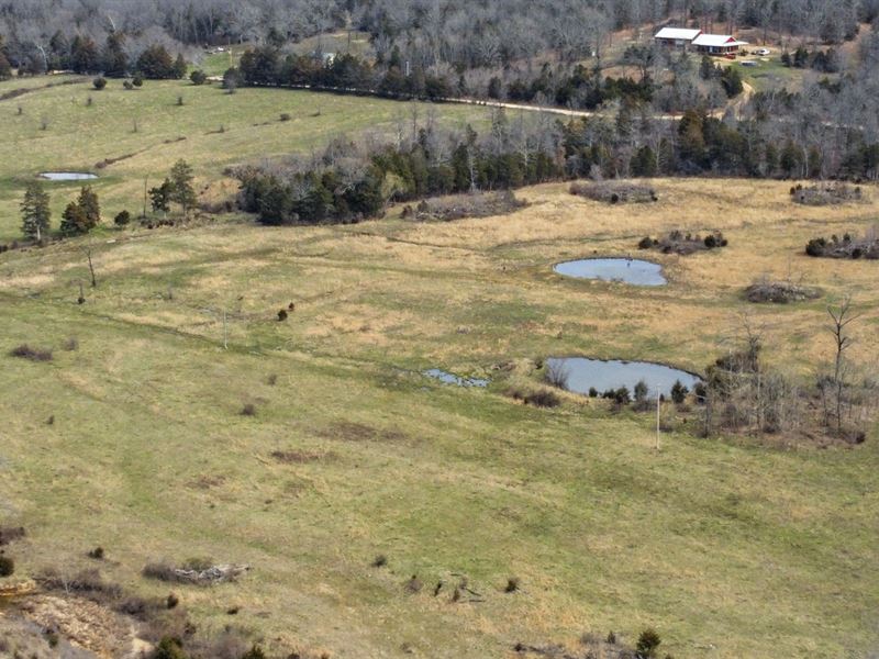 South Central Missouri Cattle Ranch : Brixey : Ozark County : Missouri