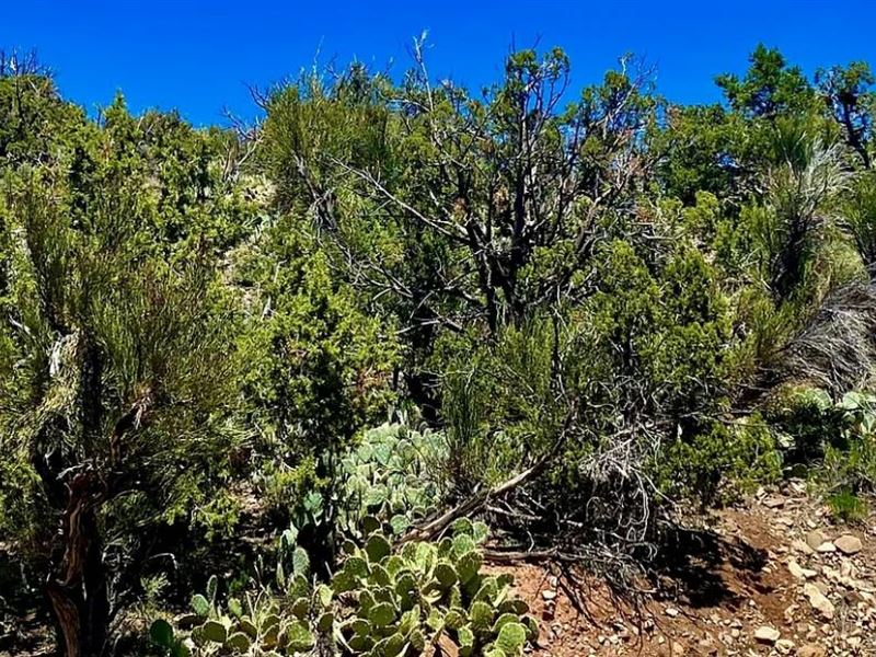 57.42 Acres for Sale in Kingman, AZ, Ranch for Sale by Owner in Arizona