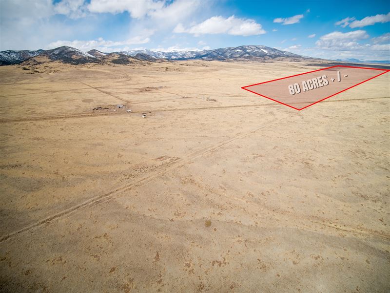 80 Acres, Road Frontage in LA Jara : La Jara : Conejos County : Colorado
