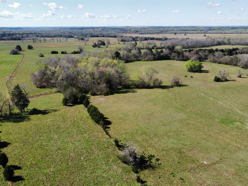 Faunsdale Cattle Tract : Faunsdale : Marengo County : Alabama