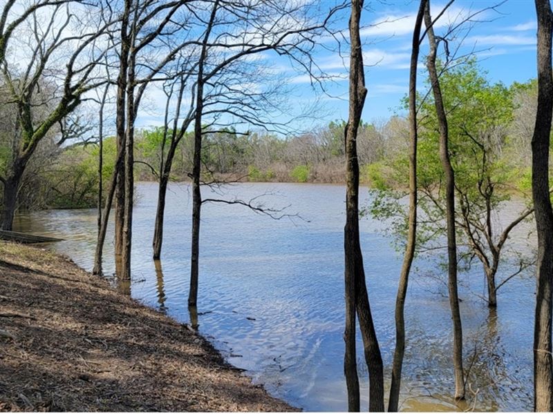 28 Acres in Catahoula Parish in Sic : Sicily Island : Catahoula Parish : Louisiana