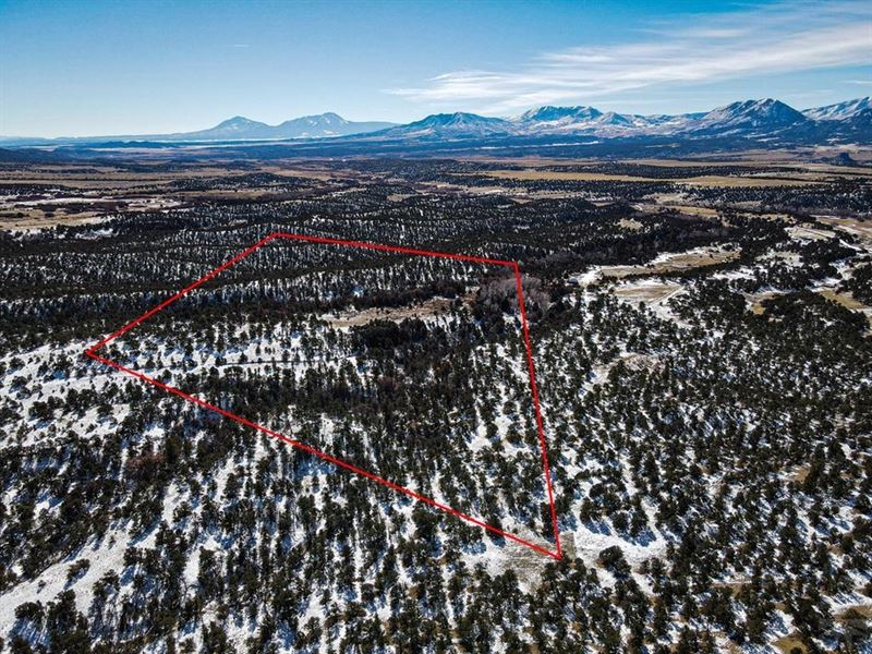 Lot 4 County Rd 627 Gardner, Co 810 : Gardner : Huerfano County : Colorado