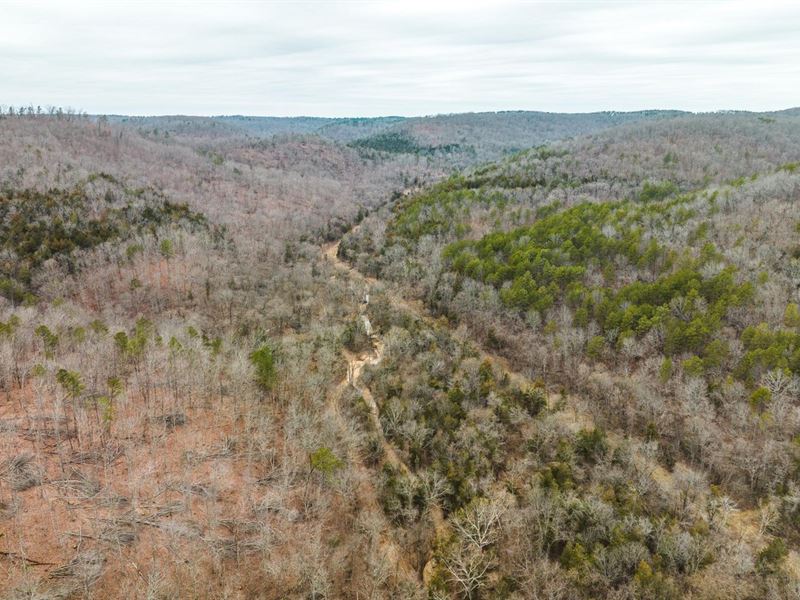 Current River 80 Acres : Eminence : Shannon County : Missouri