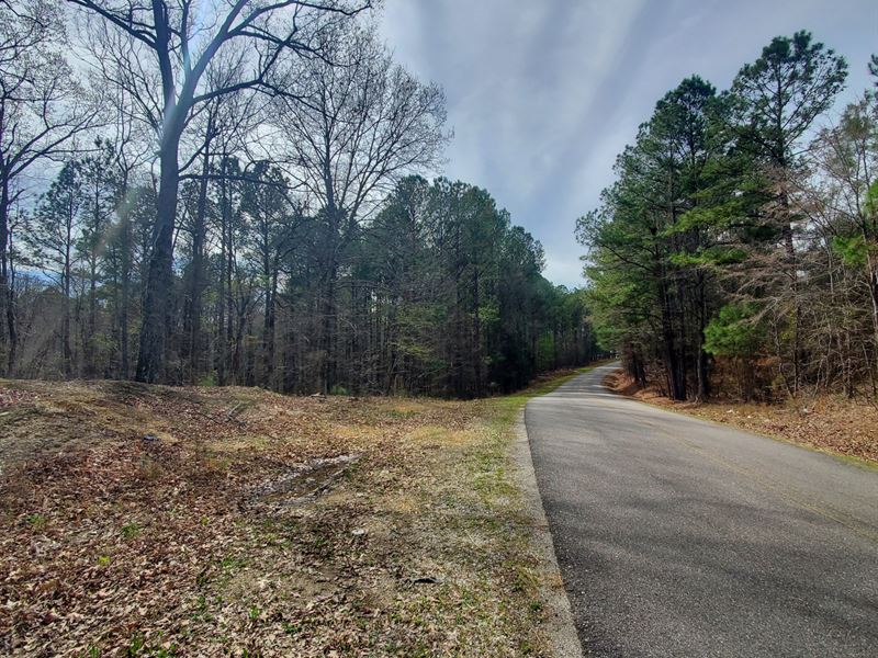 Ingram 40 Ac. with Stream : Piedmont : Calhoun County : Alabama