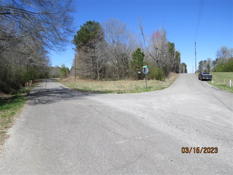 Homesites Near Nauvoo : Nauvoo : Walker County : Alabama