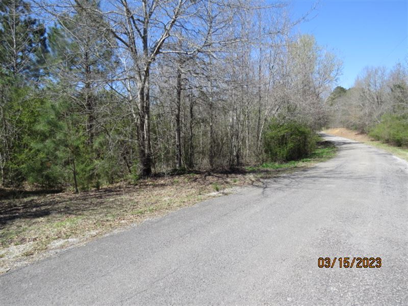Homesites Near Nauvoo : Nauvoo : Walker County : Alabama
