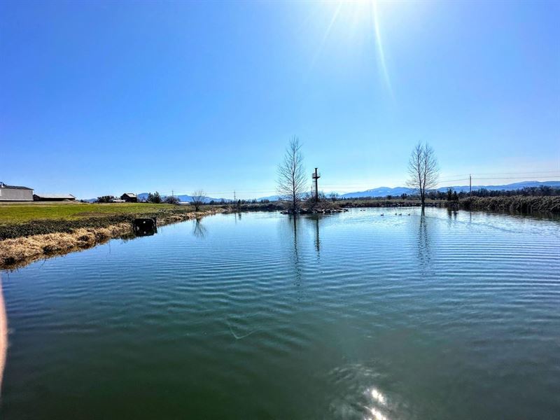 Bear Creek Farm Ground : Central Point : Jackson County : Oregon