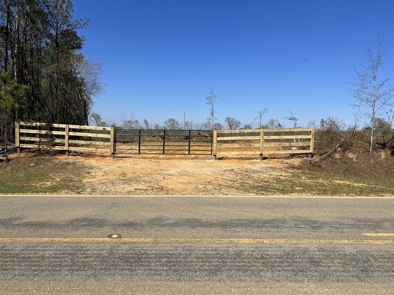 Highway 239 Tract : Clayton : Barbour County : Alabama