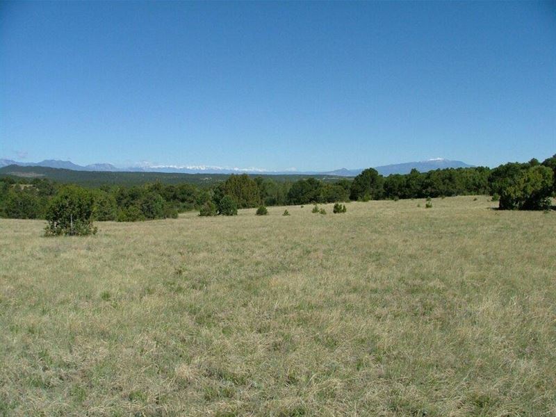 29 Blackhawk Ranch : Walsenburg : Huerfano County : Colorado
