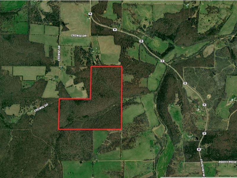 Wooded Acreage with Creek and Fence : Huggins : Texas County : Missouri