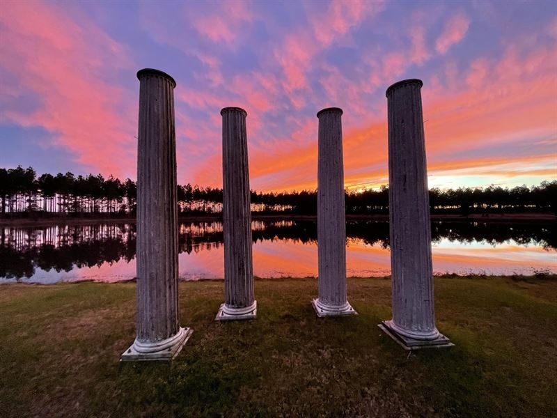Owl & Moon : Quitman : Appling County : Georgia