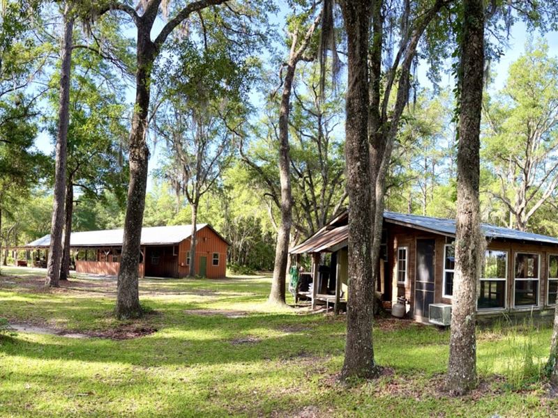 Mac Creek Ranch Legacy Investment : Monticello : Jefferson County : Florida