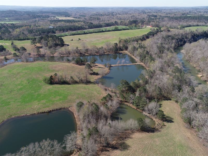 170 Acres on Locust Fork : Cleveland : Blount County : Alabama