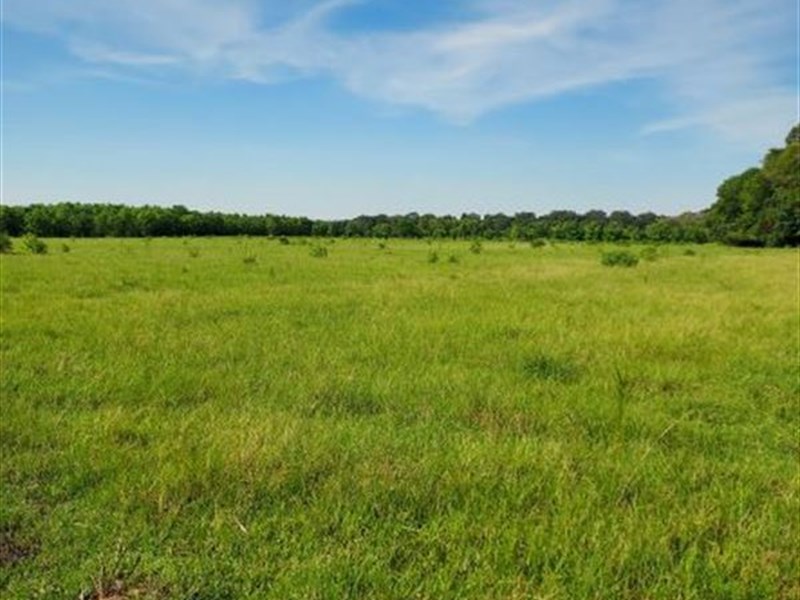 Pasture Near Montgomery, Prattville : Millbrook : Elmore County : Alabama