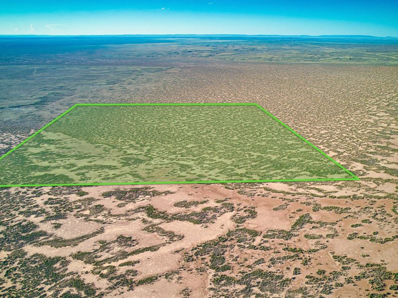 160 Acres Bordering Blm Land : Wamsutter : Sweetwater County : Wyoming