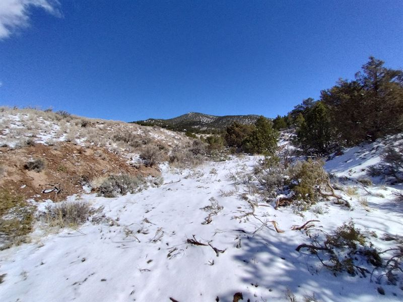 Hills and Valleys on Corner Lot : Blanca : Costilla County : Colorado