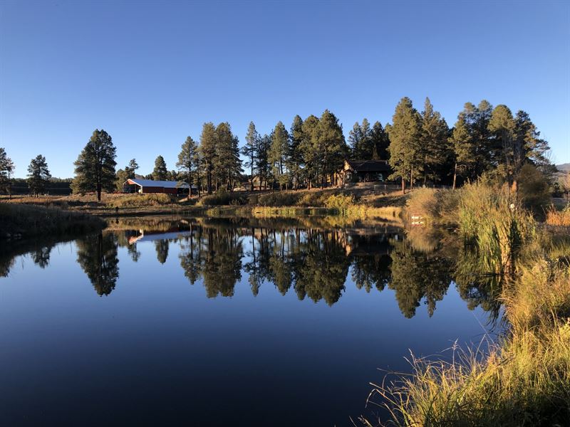 Pine Meadow Ranch : Bayfield : La Plata County : Colorado