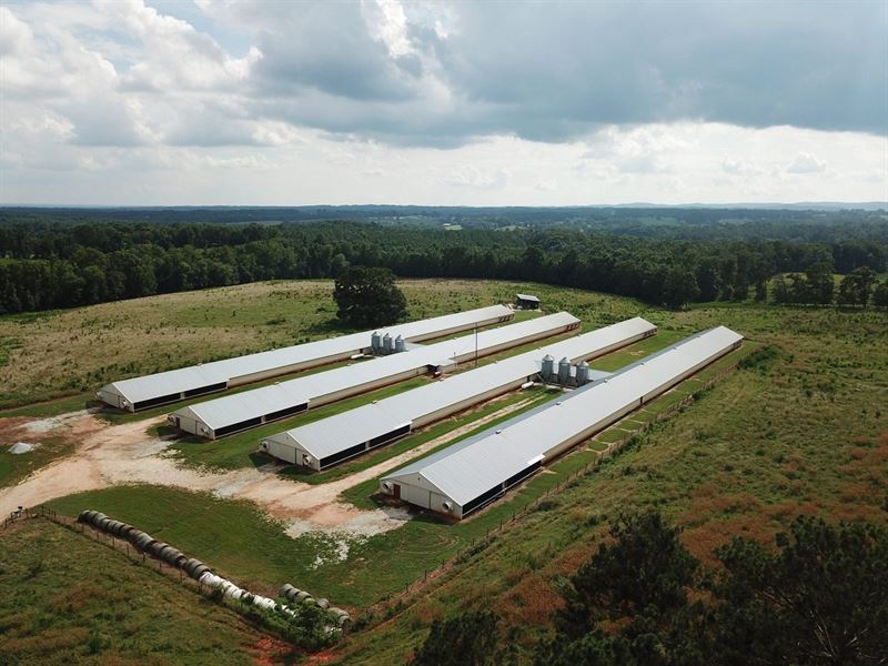 Stiles Broiler Farm : Ranburne : Cleburne County : Alabama