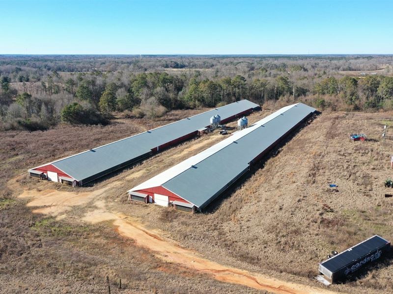 Pastureview Farm : McKenzie : Butler County : Alabama