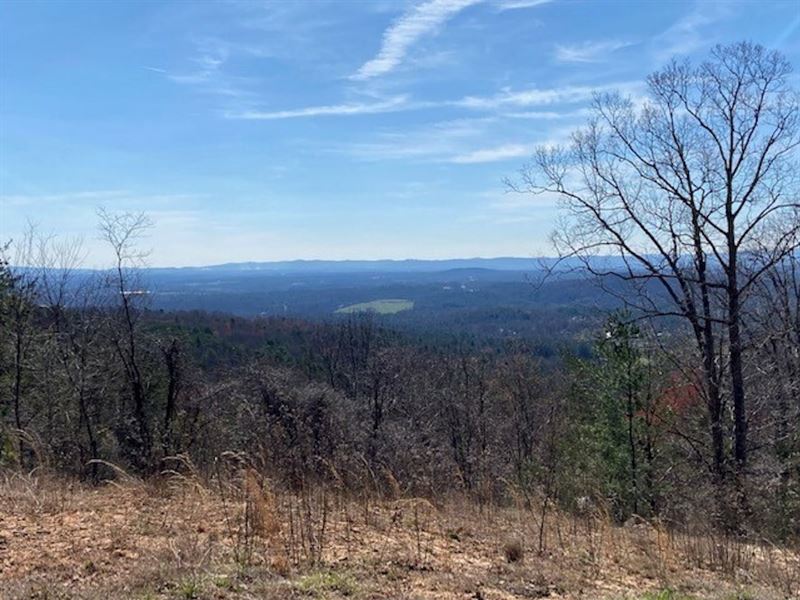 Carter Mountain 47 : Abshers : Wilkes County : North Carolina