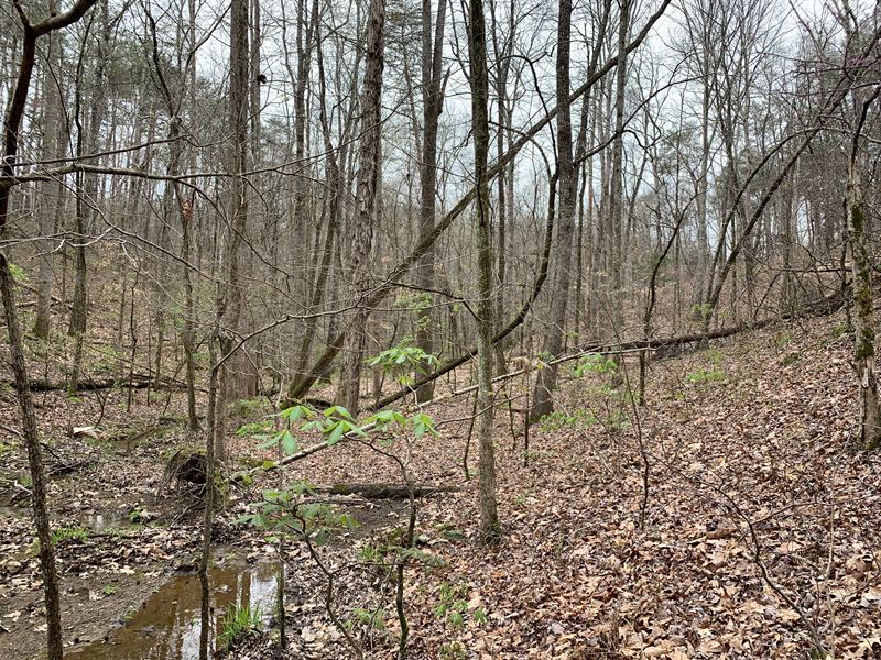 Beautiful Mountainous 25.8 Acres : Rockmart : Polk County : Georgia