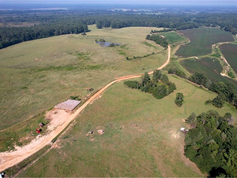 570 Acres in Grenada County in Gore : Gore Springs : Grenada County : Mississippi