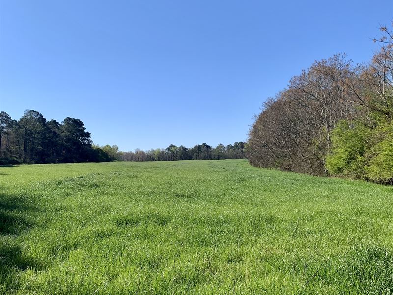 Liberty Church Road Tract : Dewy Rose : Hart County : Georgia