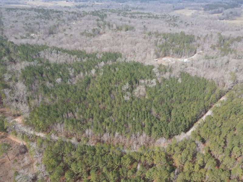 Wilson Road, 10 to 28.6 Acres : Whitesburg : Carroll County : Georgia