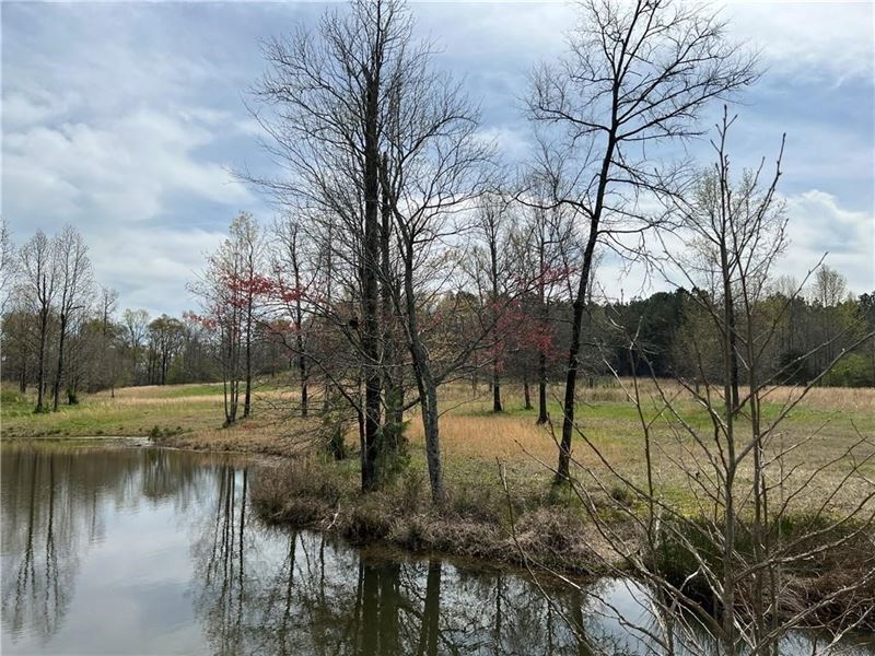 2,000' Frontage on Oostanaula River : Calhoun : Gordon County : Georgia