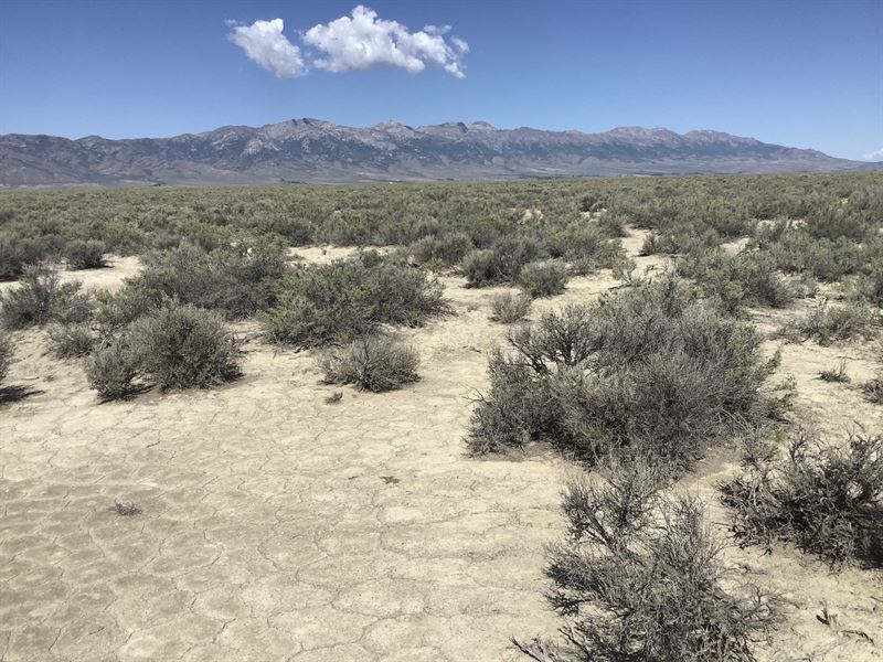Clover Valley Adjacent to Blm Land : Wells : Elko County : Nevada