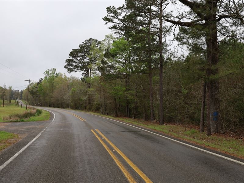 La, Lasalle 83 Acres : Olla : La Salle Parish : Louisiana