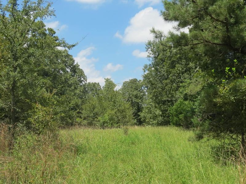 Private Recreational Hunting Spot : Stuart : Hughes County : Oklahoma