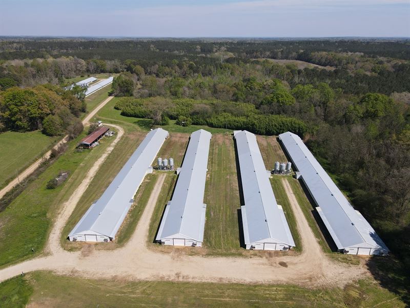 Q&J Broiler Farm : Glenwood : Pike County : Alabama