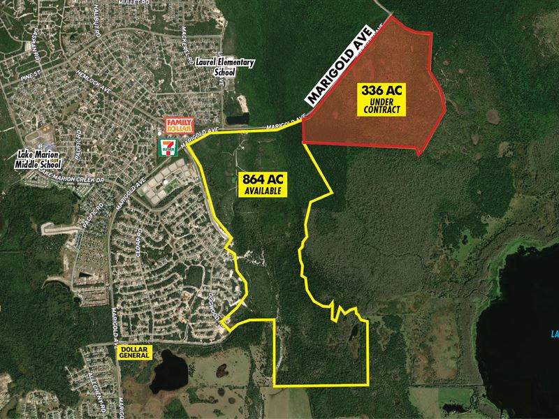 Poinciana, Polk County Residential : Poinciana : Polk County : Florida
