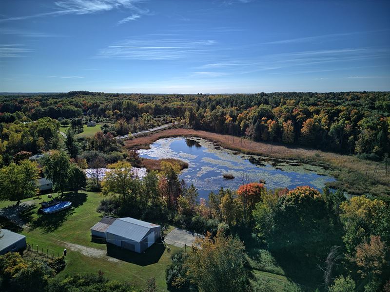 Harris Lake 36 : Remus : Mecosta County : Michigan