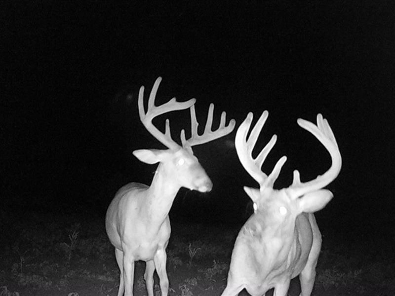 21.21 Acres in Washington County : Greenville : Washington County : Mississippi