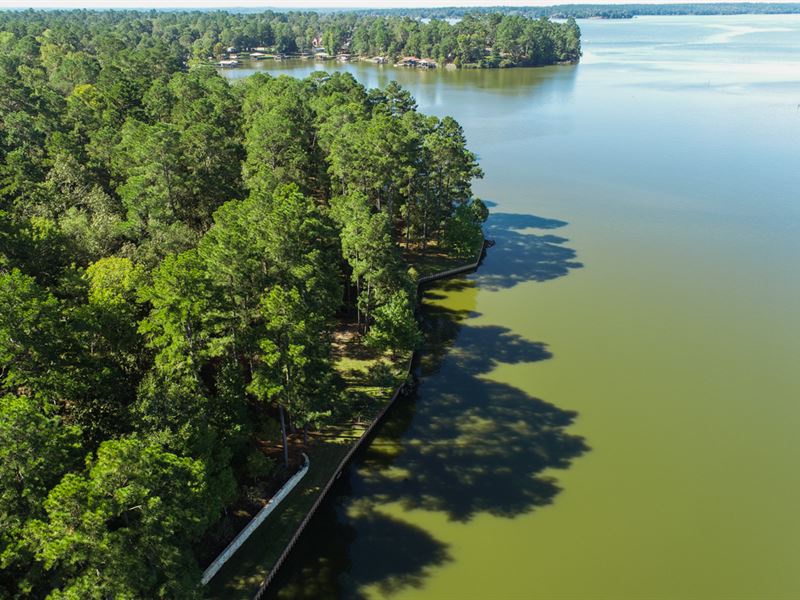 295 Acres, FM 355 : Sebastopol : Trinity County : Texas