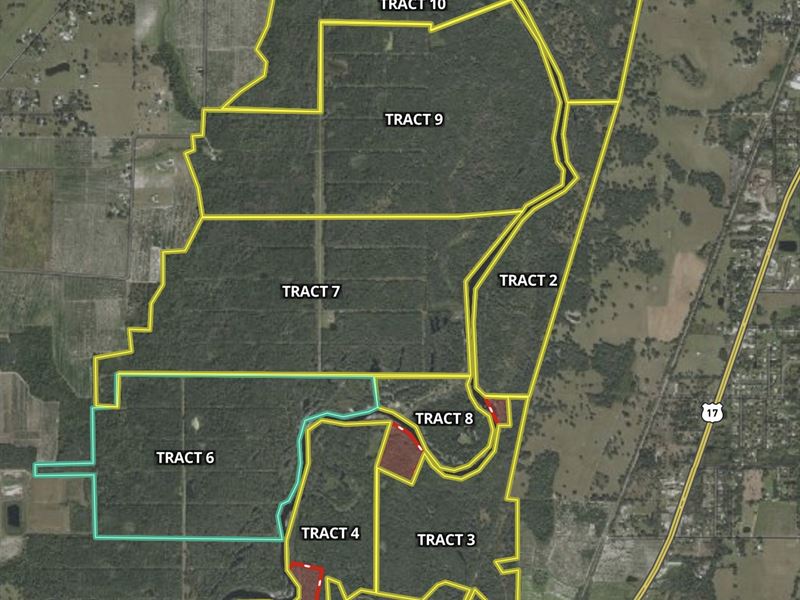 262 Acre Peace River Preserve 6, Ranch for Sale in Florida, 346551